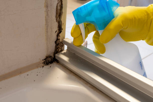 Best Mold Testing  in Clio, MI