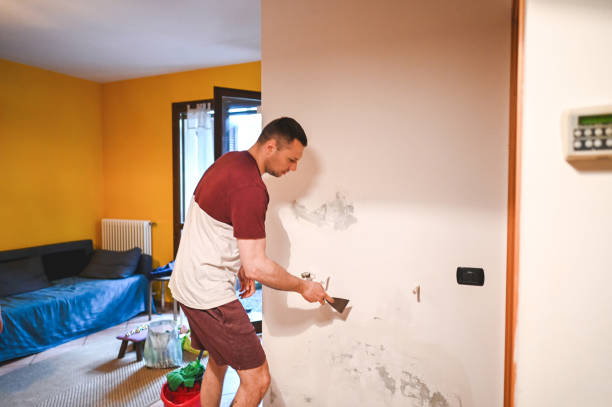 Best Certified Mold Removal  in Clio, MI